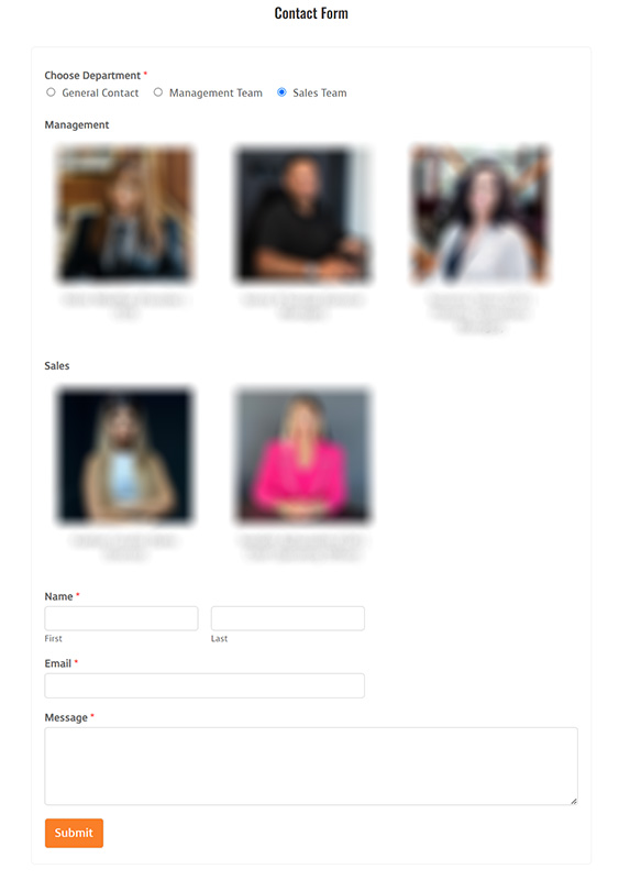 vista properties website - customized contact form